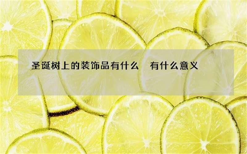 圣诞树上的装饰品有什么 有什么意义